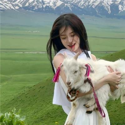 彗星的轨迹
