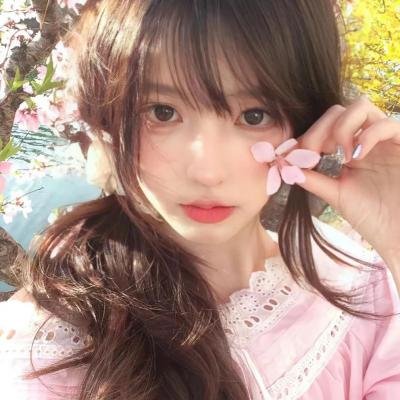 爱犬情深